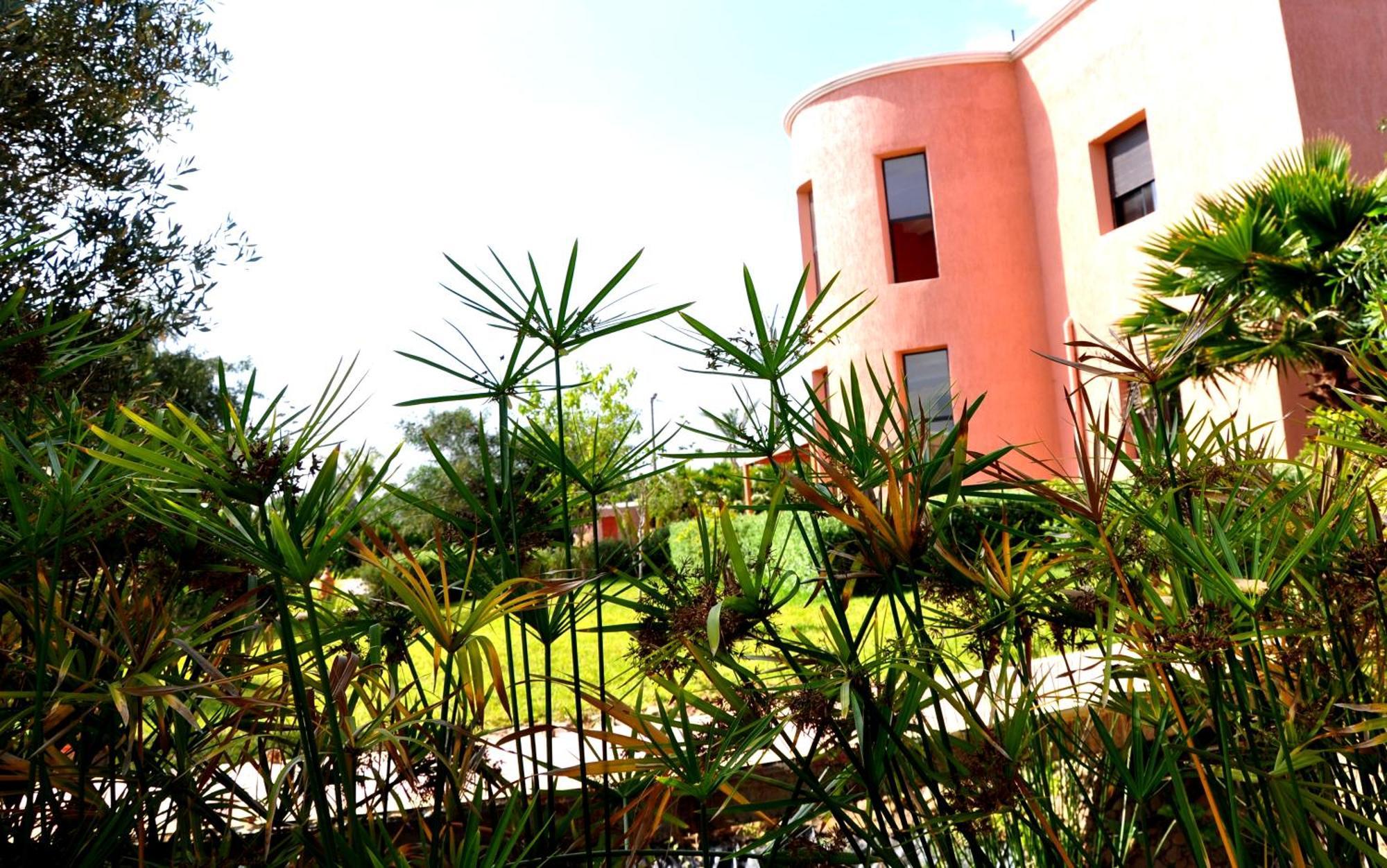 Riad Hamdani Derroua ภายนอก รูปภาพ