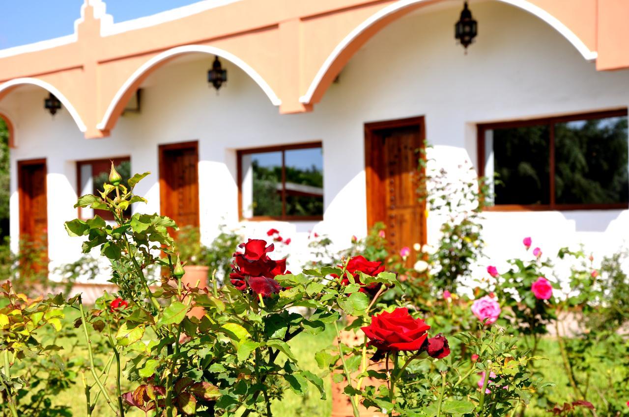 Riad Hamdani Derroua ภายนอก รูปภาพ