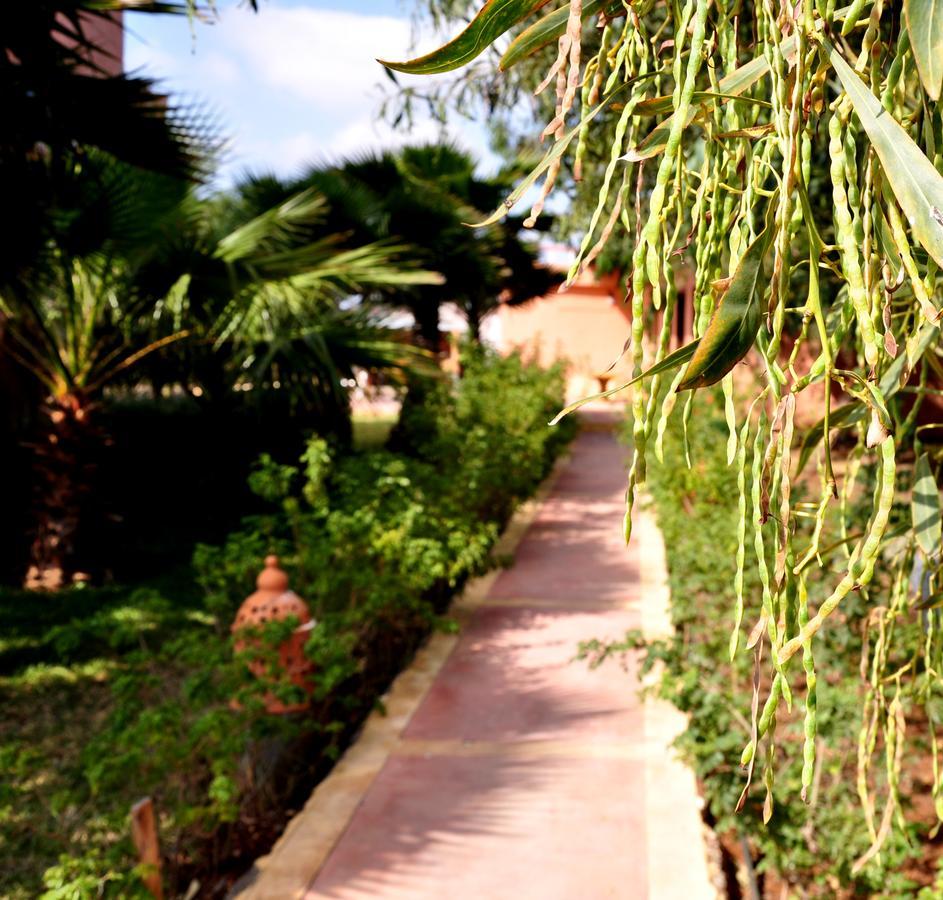 Riad Hamdani Derroua ภายนอก รูปภาพ
