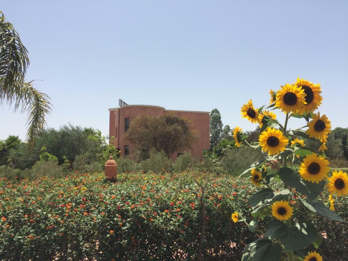 Riad Hamdani Derroua ภายนอก รูปภาพ